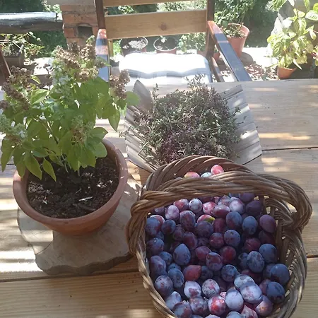 Apartamento Etno Dusnik *