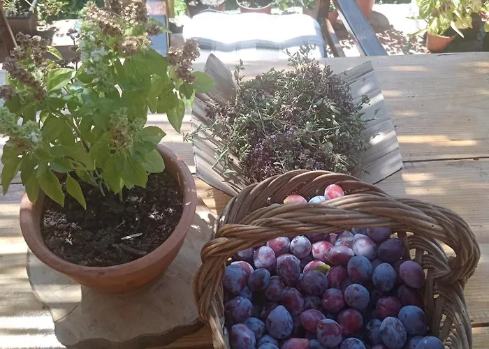 Διαμέρισμα Etno Dusnik *