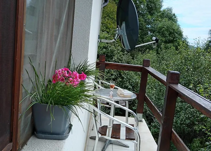 Διαμέρισμα Etno Dusnik *